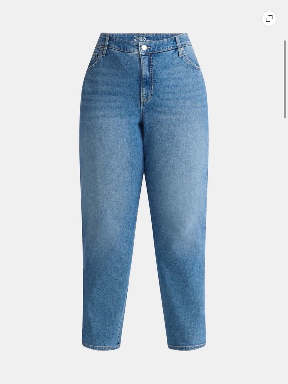 Terra & Sky Women's Boyfriend Jeans in Light Blue Wash